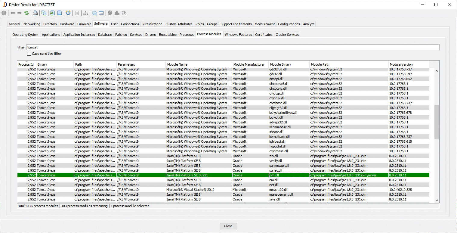 Loaded DLLs for a Tomcat process in the Product Modules Report