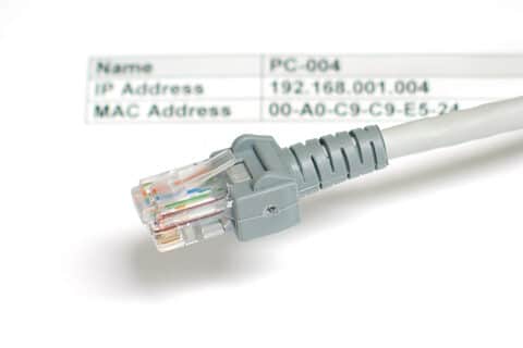 dreamstime_xs_3303171 